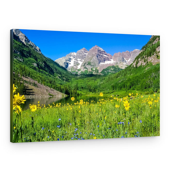Vibrant Mountain Wildflowers – Canvas Print