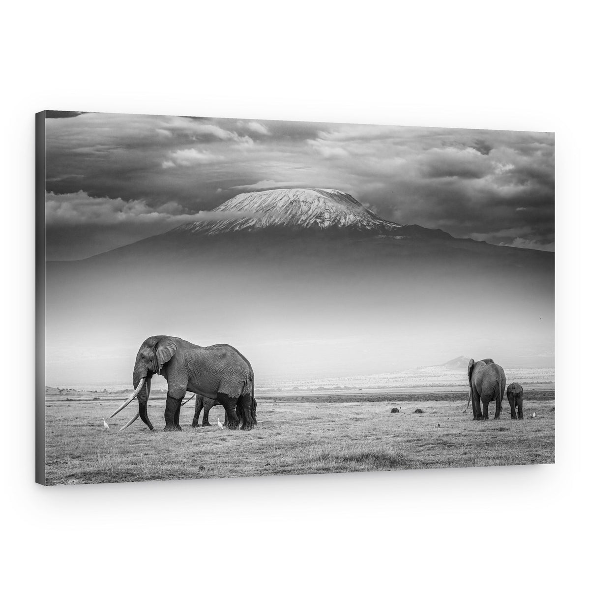 Elephants of Kilimanjaro – Canvas Print