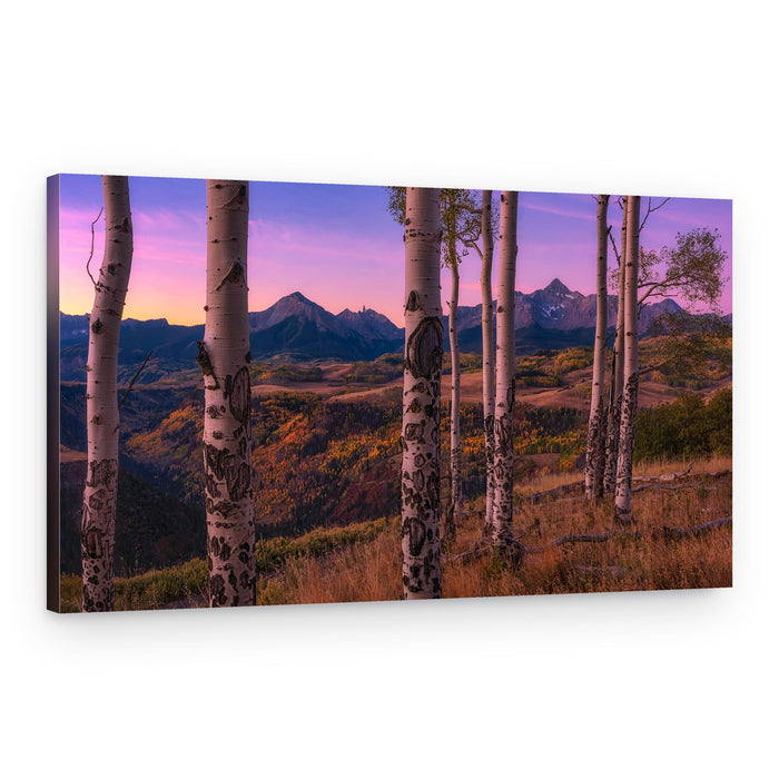 Purple Mountain Autumn Aspens – Canvas Print