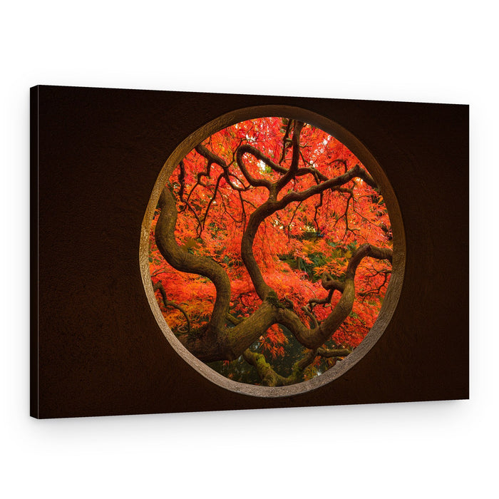 Autumn Maple Portal – Canvas Print