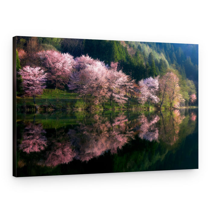 Cherry Blossom Lake Reflection – Canvas Print