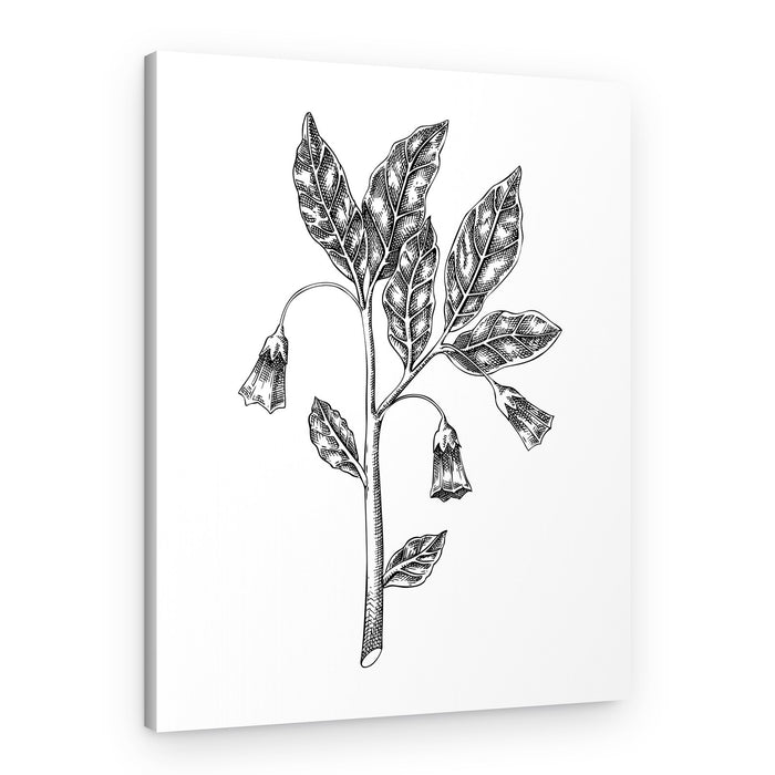 Botanical Bell Flowers – Canvas Print