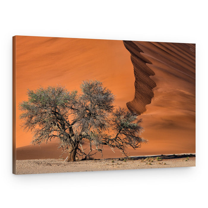 Majestic Desert Tree – Canvas Print