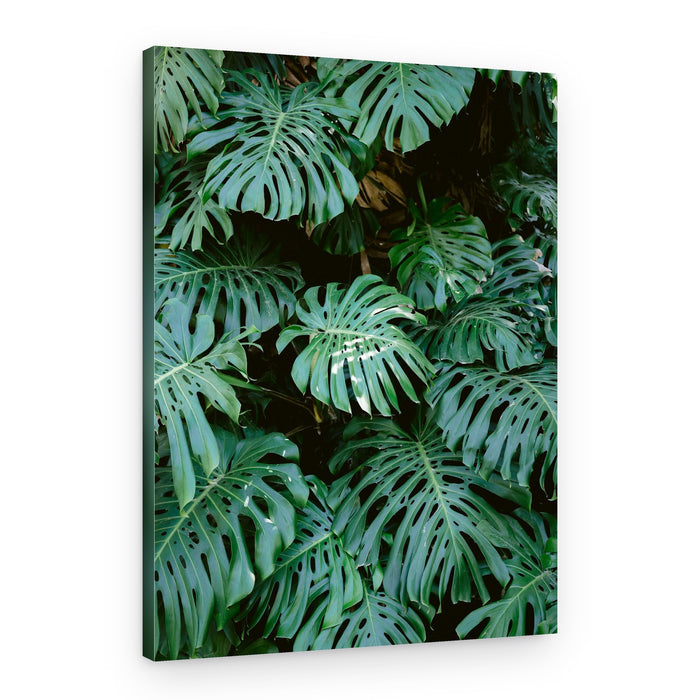 Monstera wall in Lisbon – Canvas Print