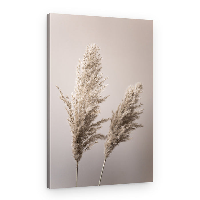 Grass 22X – Canvas Print
