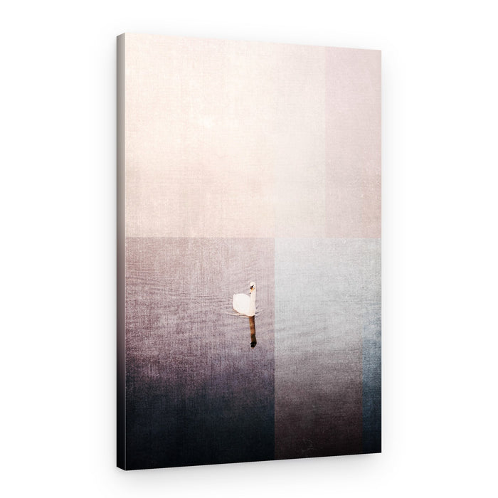 Serene White Swan – Canvas Print
