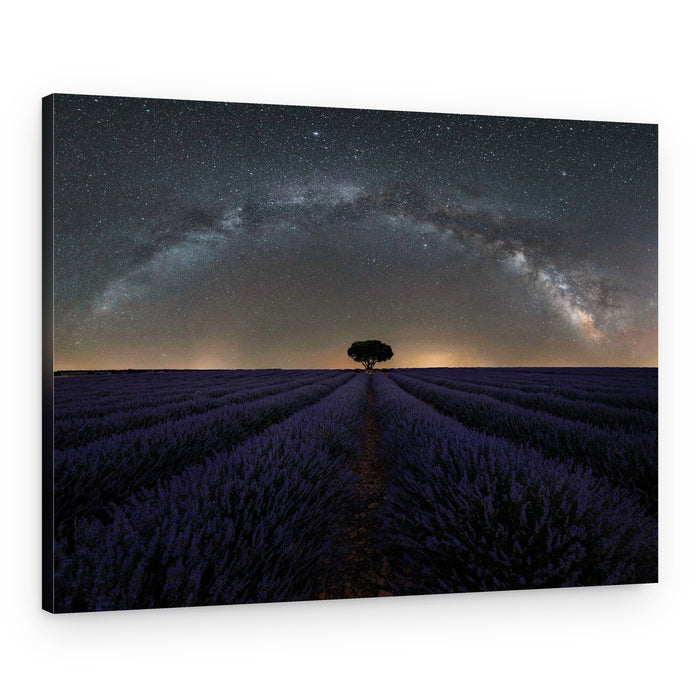 Milky Way Over Lavender – Canvas Print