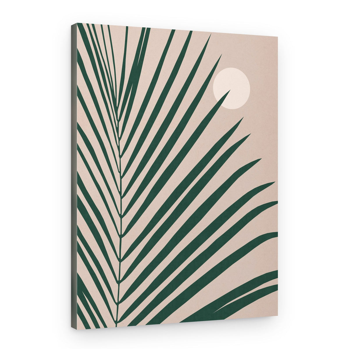 Palm Leaf Sun – Canvas Print