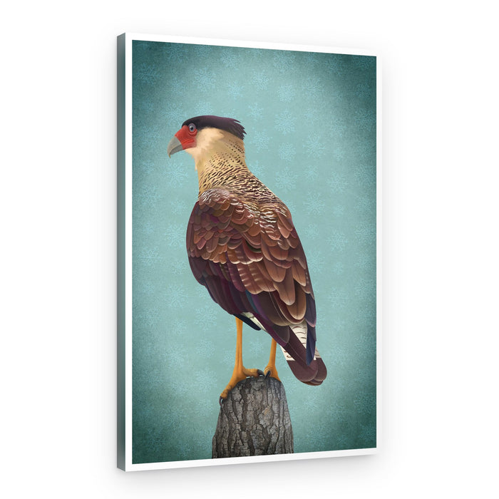 Crested Caracara Perched – Canvas Print