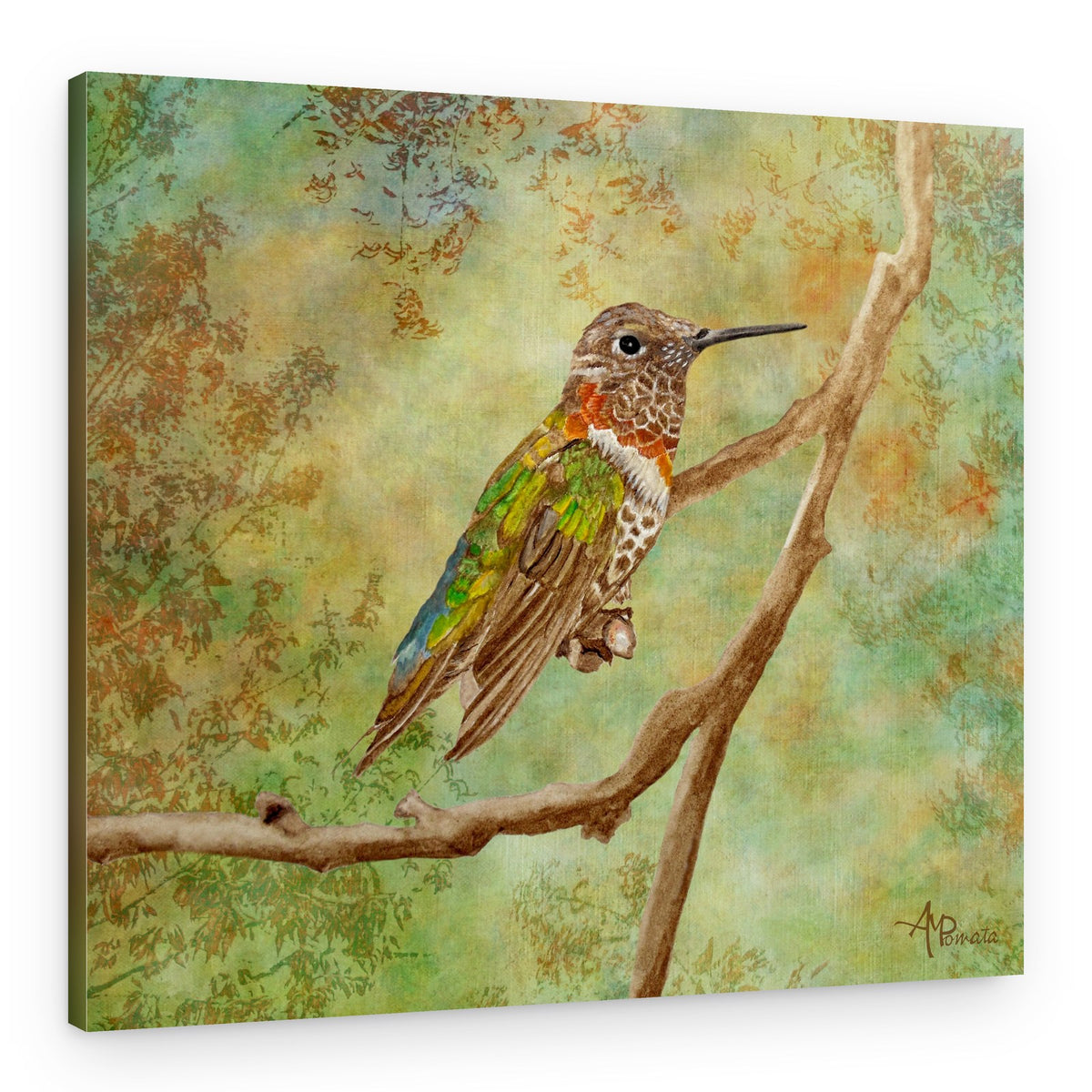Vibrant Hummingbird Perched – Canvas Print