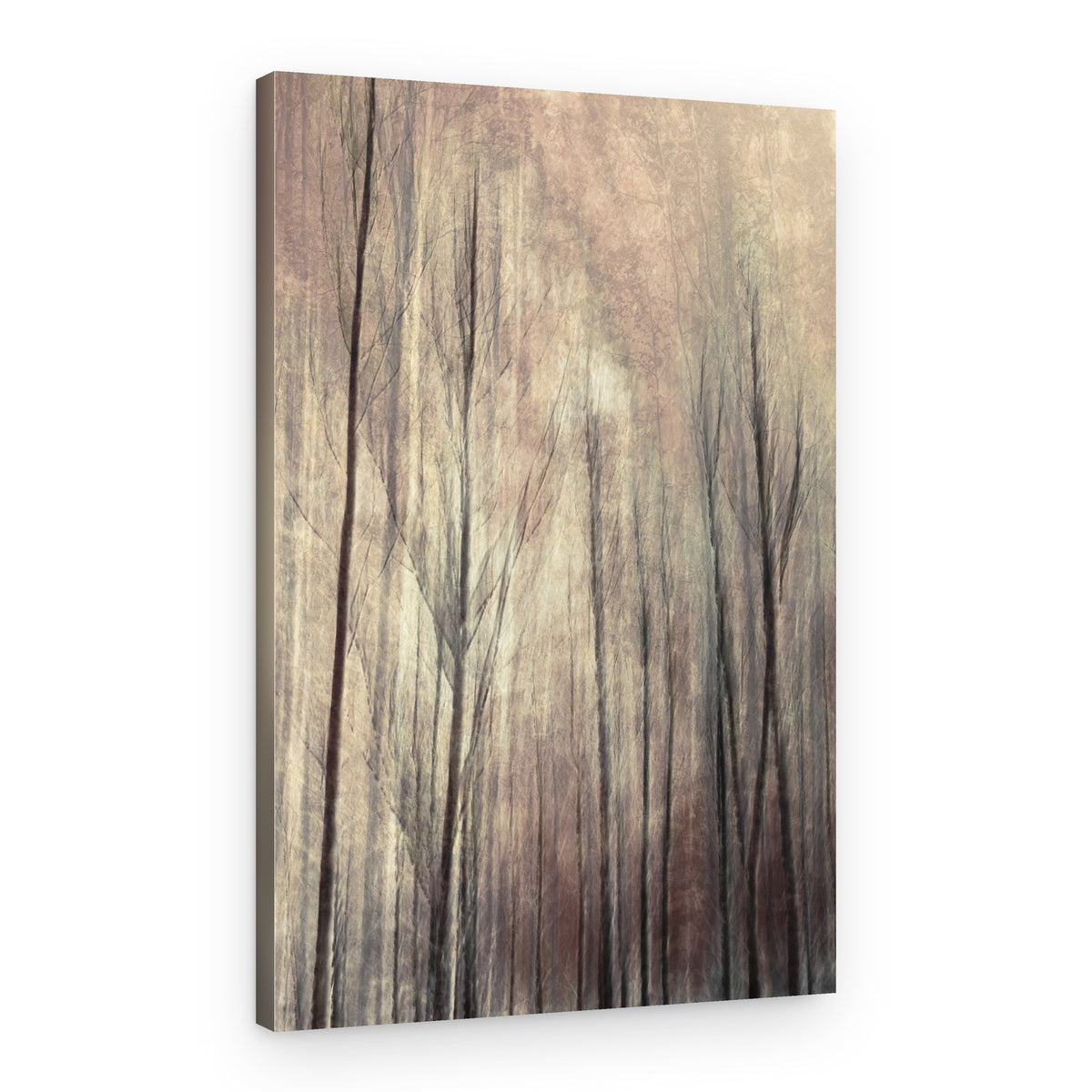 Dreamy Forest Trees – Canvas Print