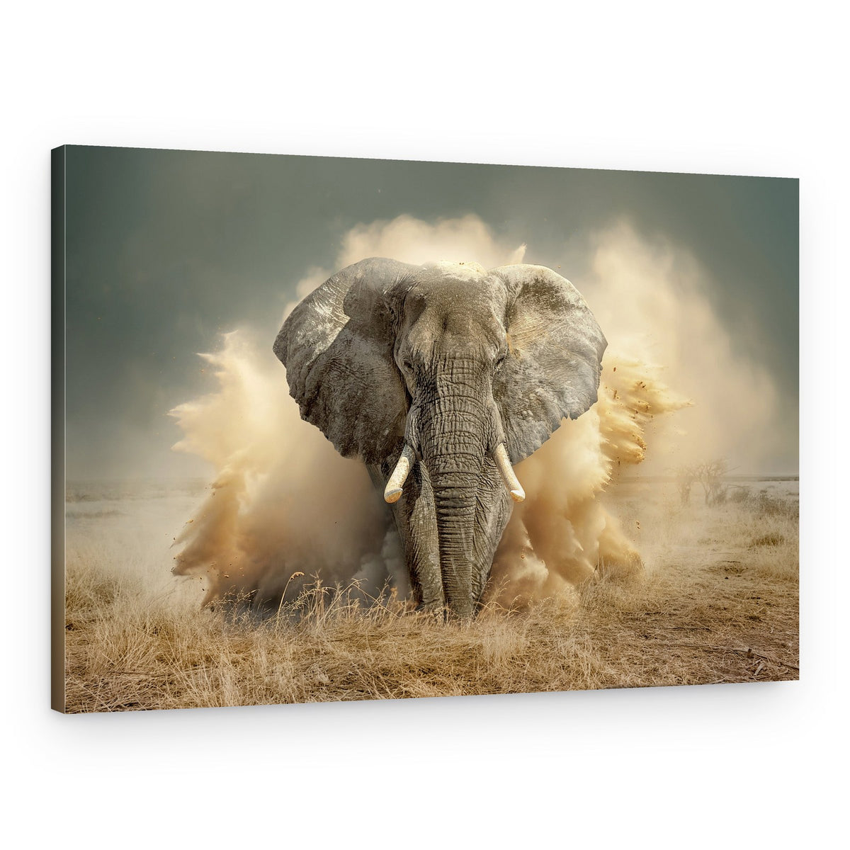 Powerful Elephant Dust Cloud – Canvas Print