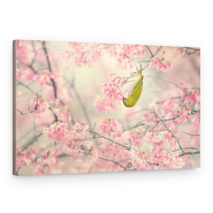 Green Bird Pink Blossoms – Canvas Print