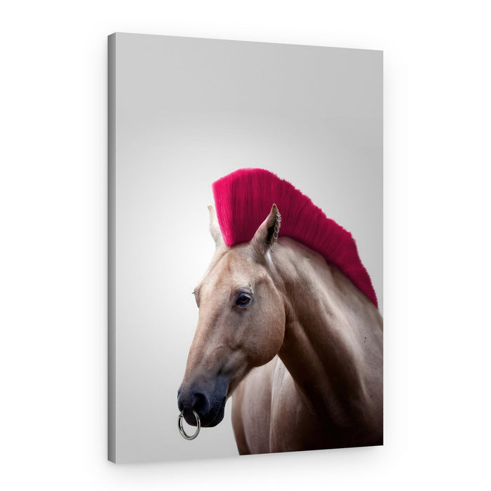 Pink Mohawk Horse – Canvas Print