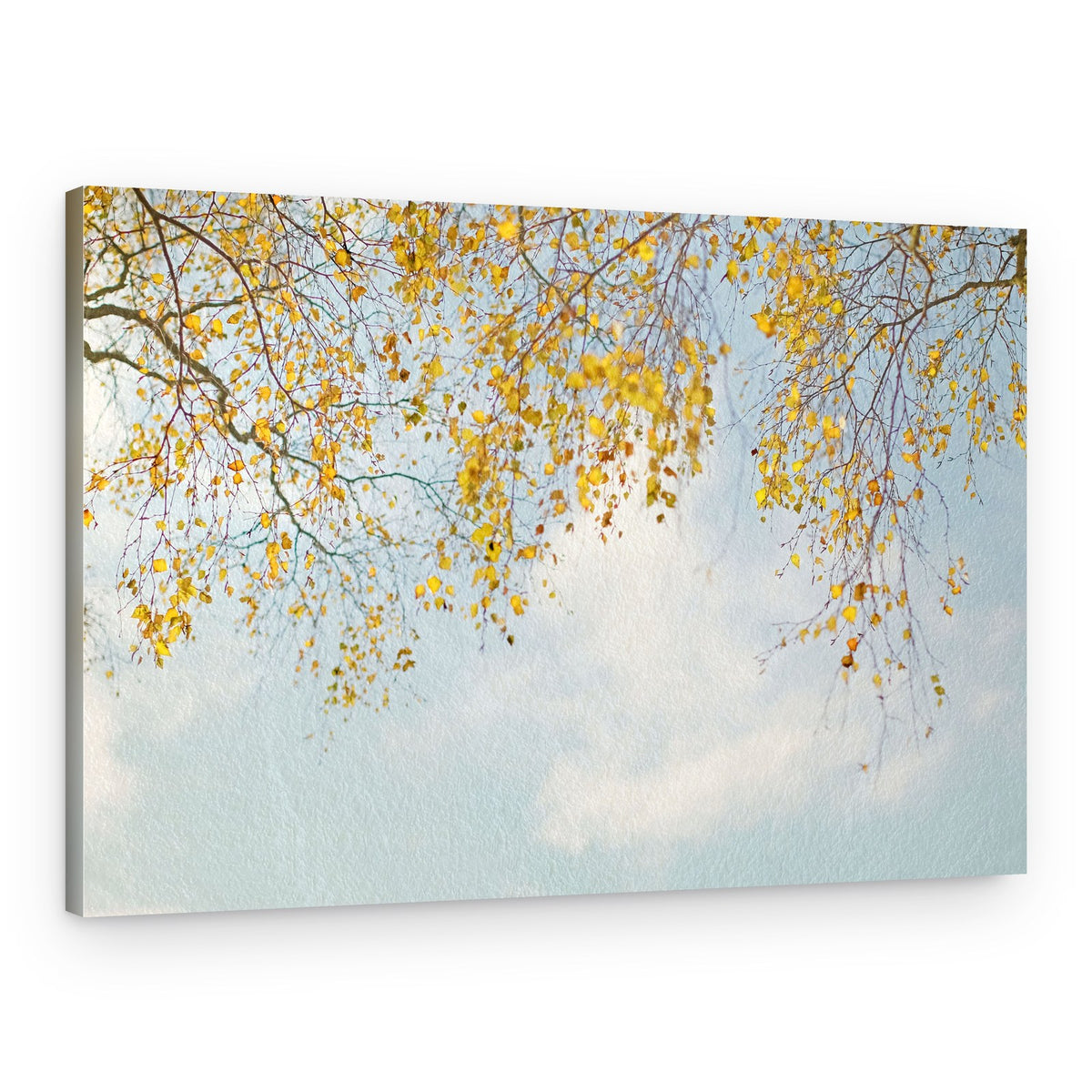 Golden Autumn Leaves – Canvas Print