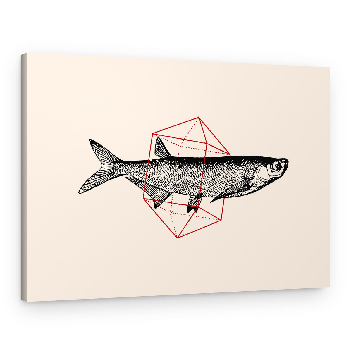 Fish Form Geometry – Canvas Print