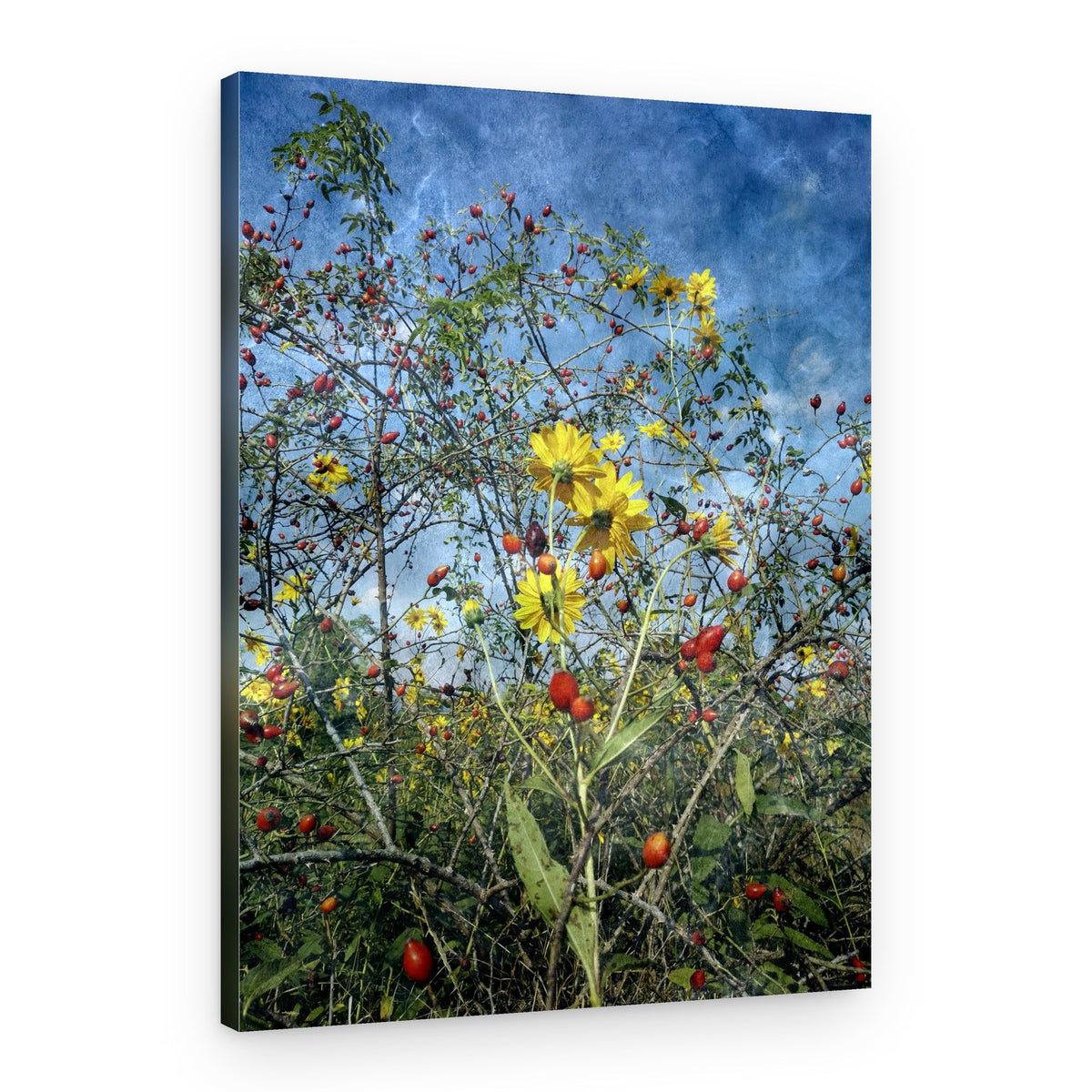 Autumn Flowers and Rose Hips – Canvas Print
