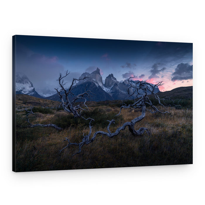 Torres del Paine – Canvas Print