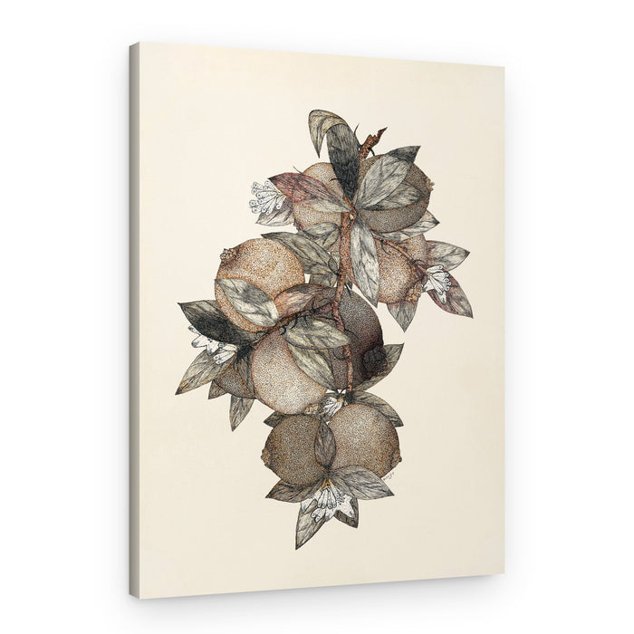 Pomegranate (1867) Rufus King – Canvas Print