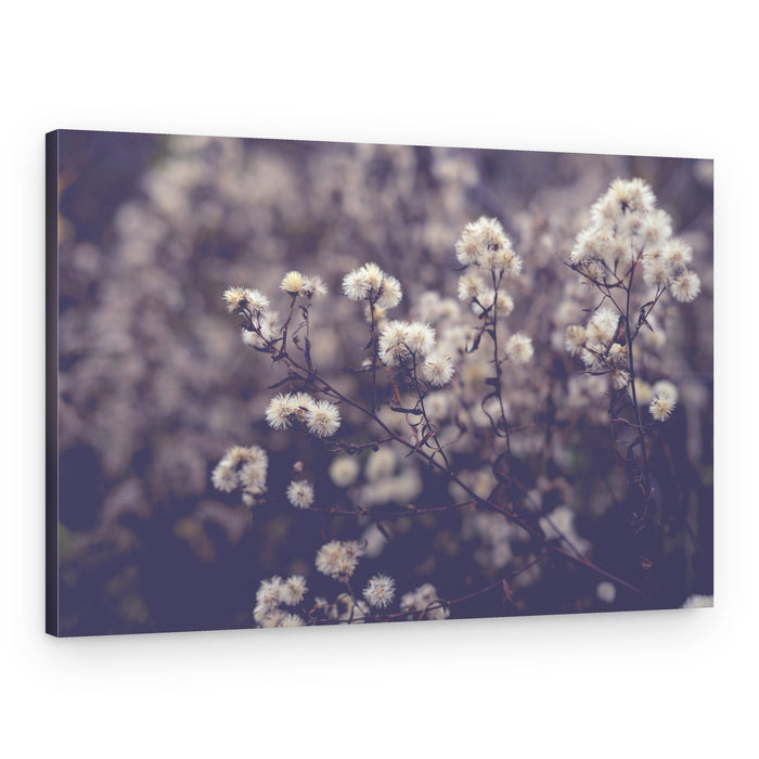 Soft Autumn Botanicals – Canvas Print
