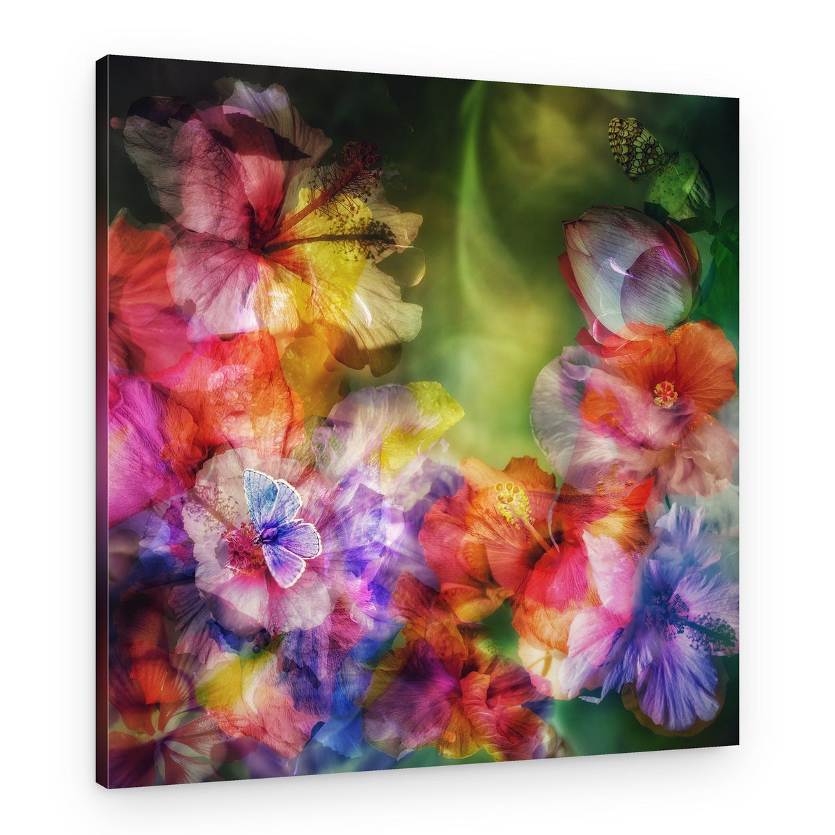 Dreamy Floral Butterflies – Canvas Print