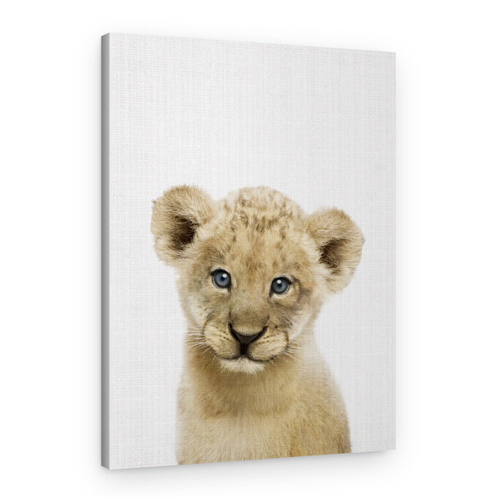 Sweet Lion Cub – Canvas Print