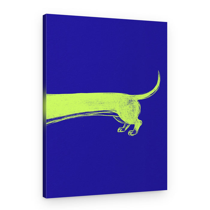 Long Yellow Dachshund – Canvas Print