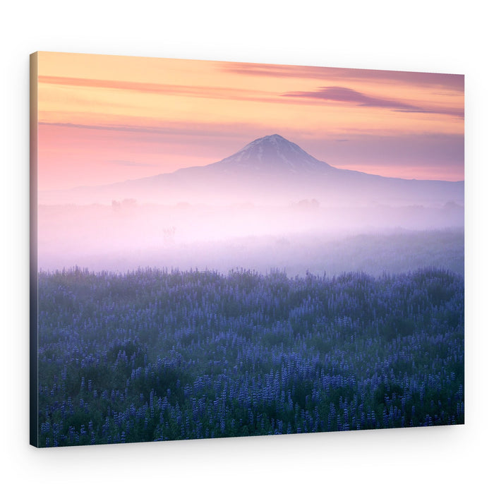 Pink Sky Mountain Mist – Canvas Print