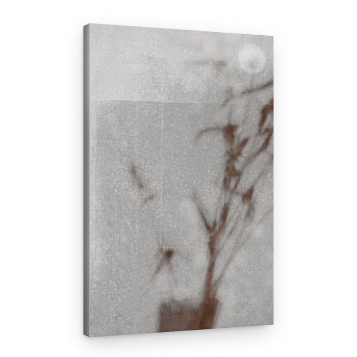 Plant Shadow Serenity – Canvas Print