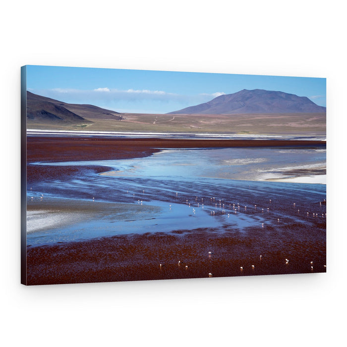 Vibrant Lake Flamingos – Canvas Print