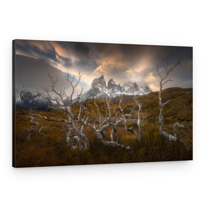 Gnarled Trees Patagonian Peaks – Canvas Print