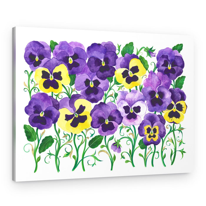 Pansy Field – Canvas Print
