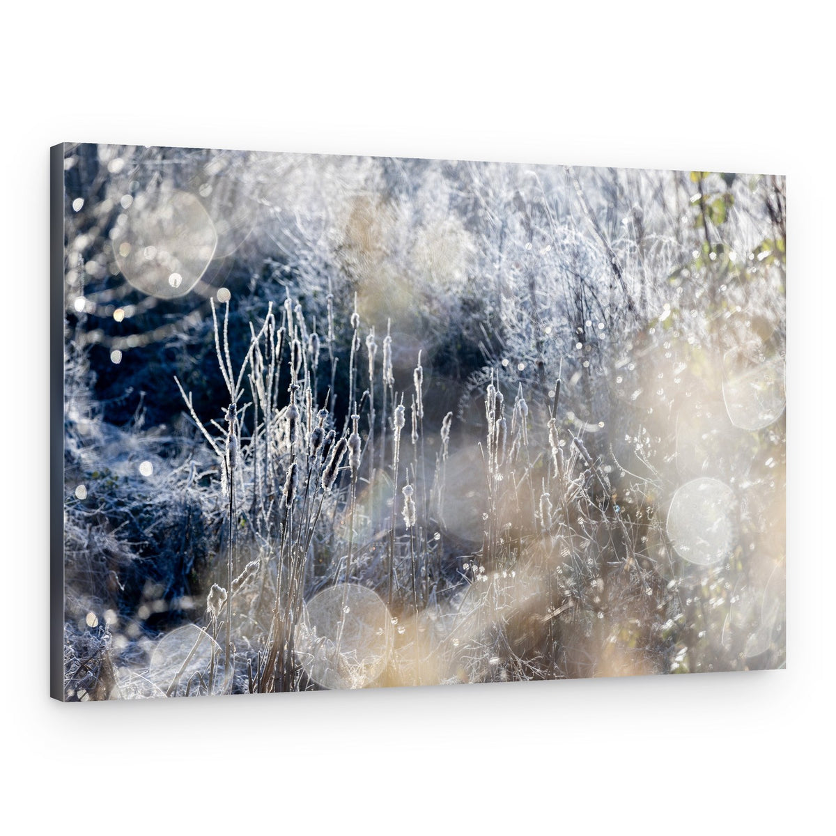 A Winter Morning 3 – Canvas Print