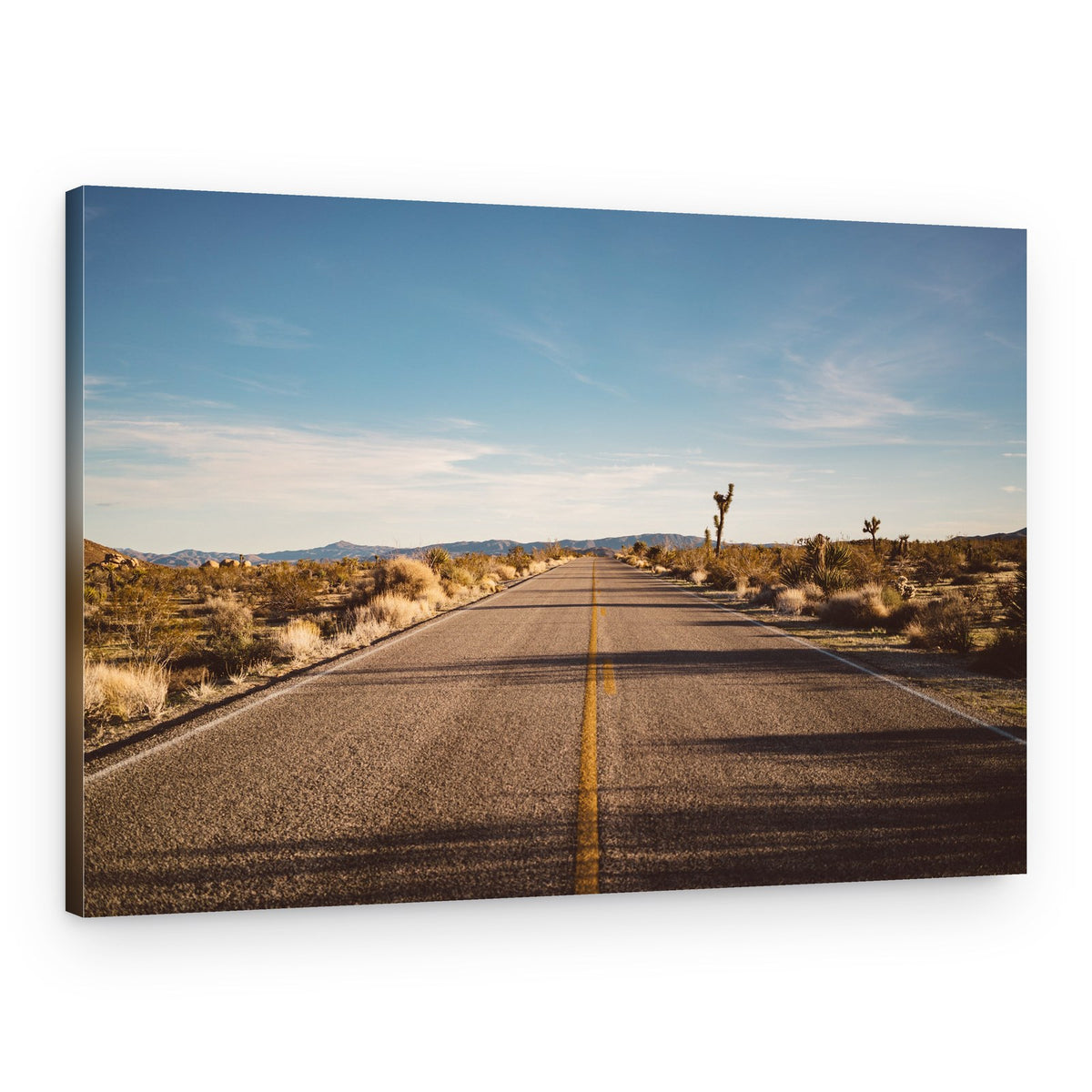 Open Desert Road – Canvas Print