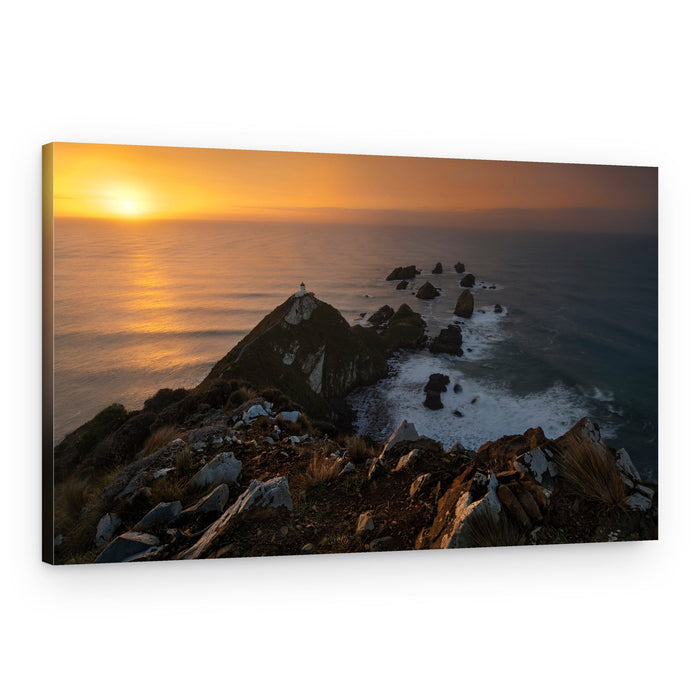 Nugget Point Golden Light – Canvas Print