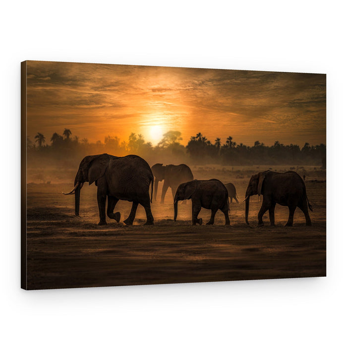 African Elephant Sunset – Canvas Print