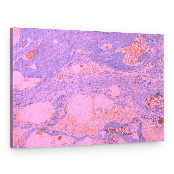 Fluid Pink Purple Abstract – Canvas Print