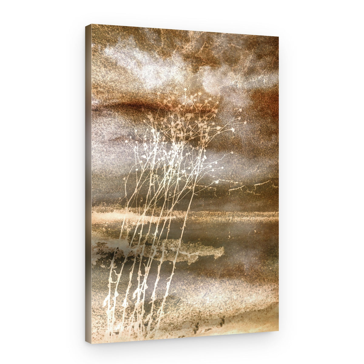 Delicate Winter Stems – Canvas Print