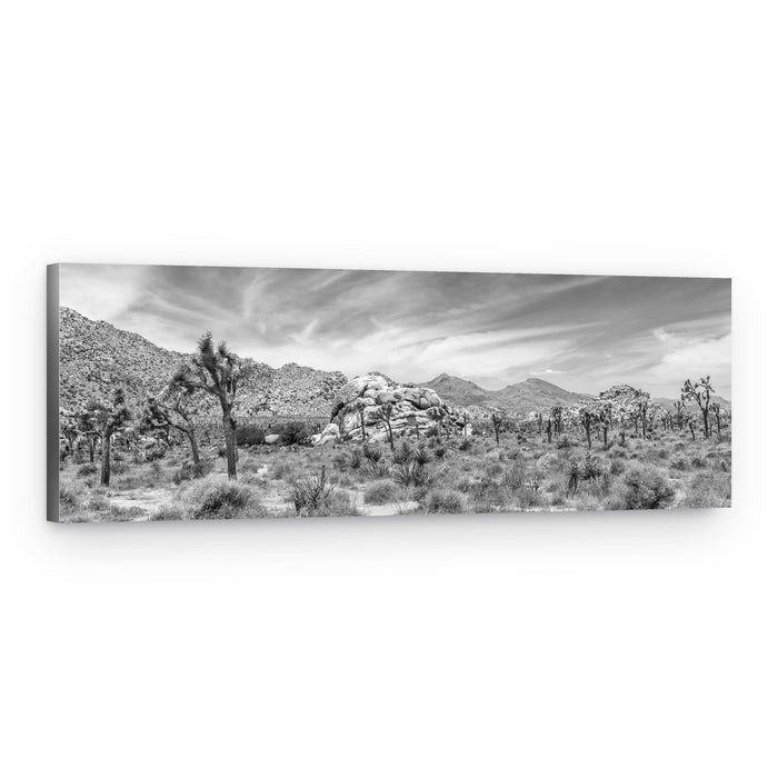Joshua Tree Desert Panorama – Canvas Print