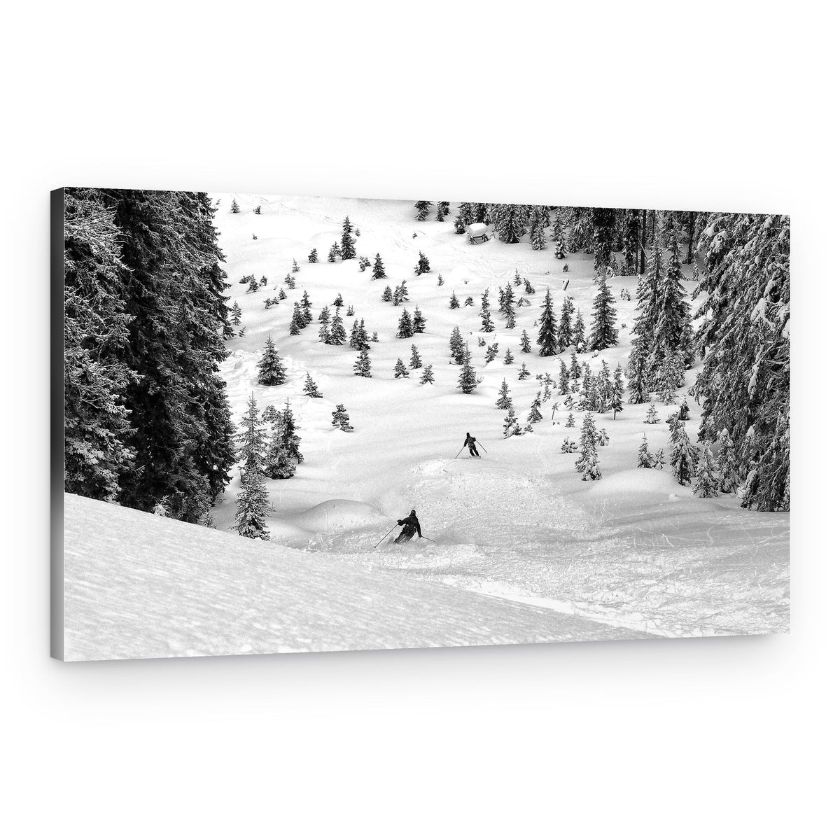 Skiing Deep Powder – Canvas Print