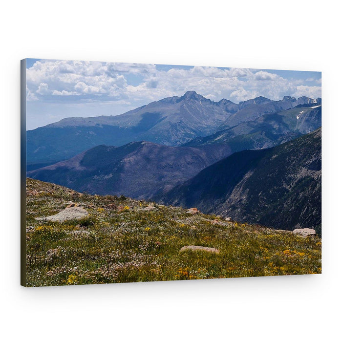 Alpine Meadow and Peaks – Canvas Print