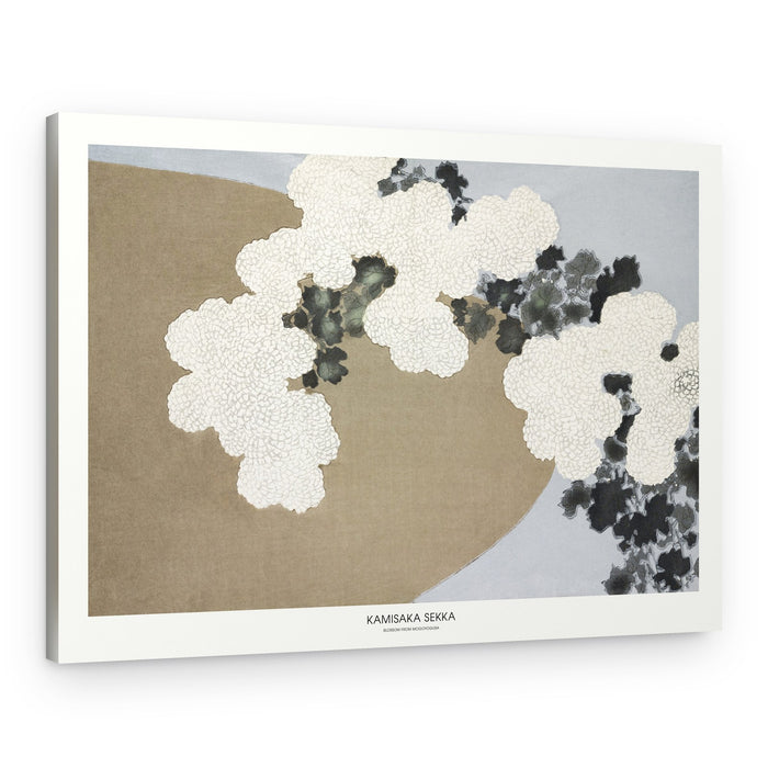 Blossom From Momoyogusa – Canvas Print