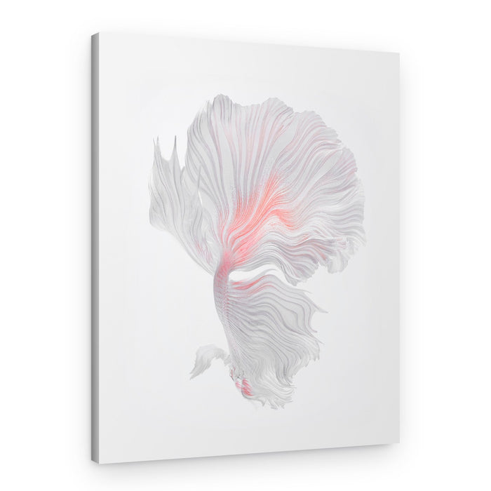 Ethereal Betta Flow – Canvas Print