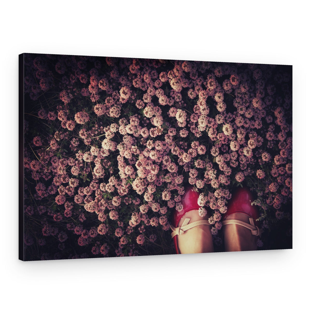 Red Shoes in Pink Flowers – Canvas Print