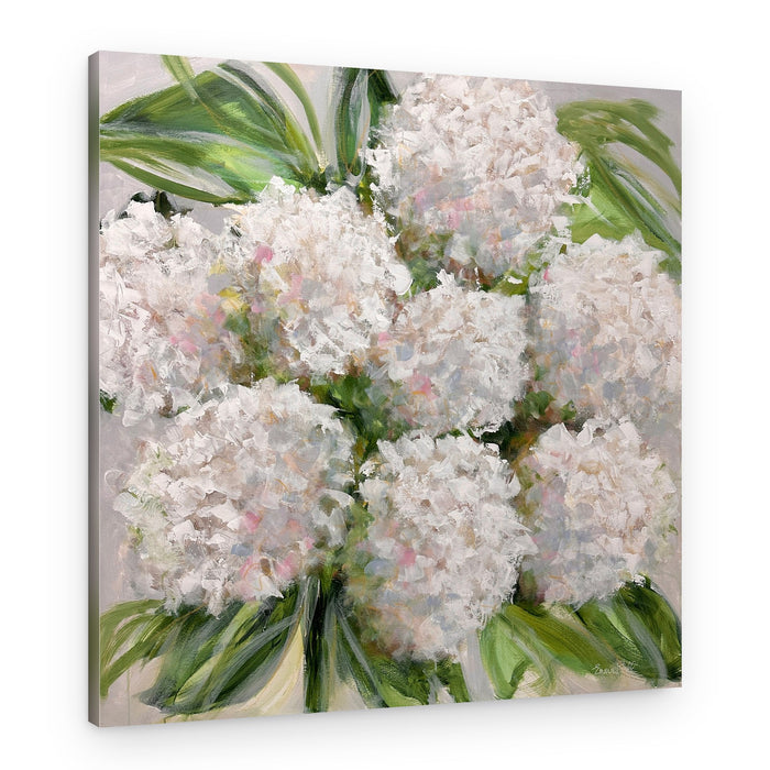 Soft White Hydrangeas – Canvas Print