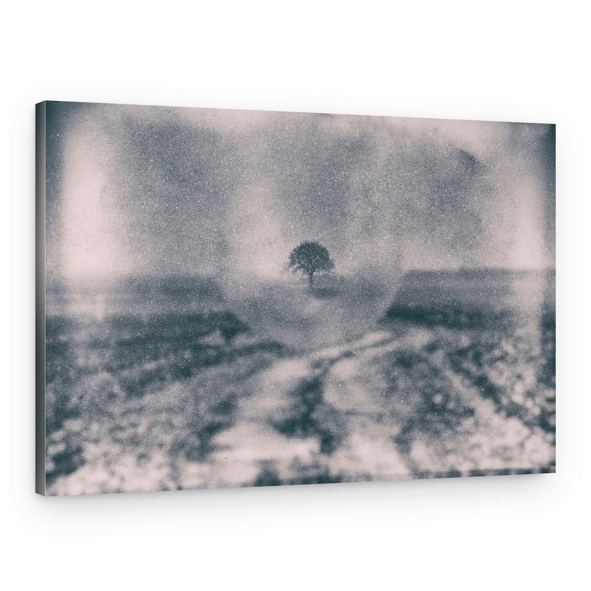 Path to Solitary Tree – Canvas Print