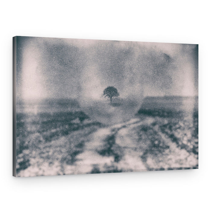 Path to Solitary Tree – Canvas Print