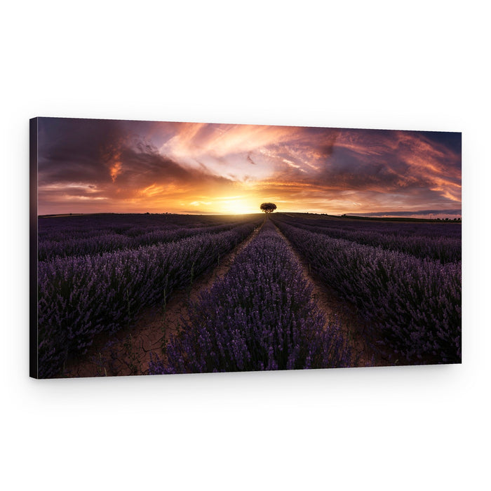 Vibrant Lavender Sunset – Canvas Print