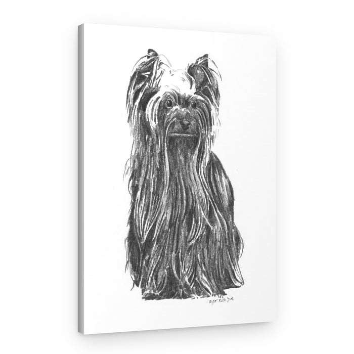 Elegant Yorkshire Terrier – Canvas Print