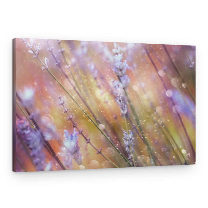 Dreamy Lavender Bokeh – Canvas Print
